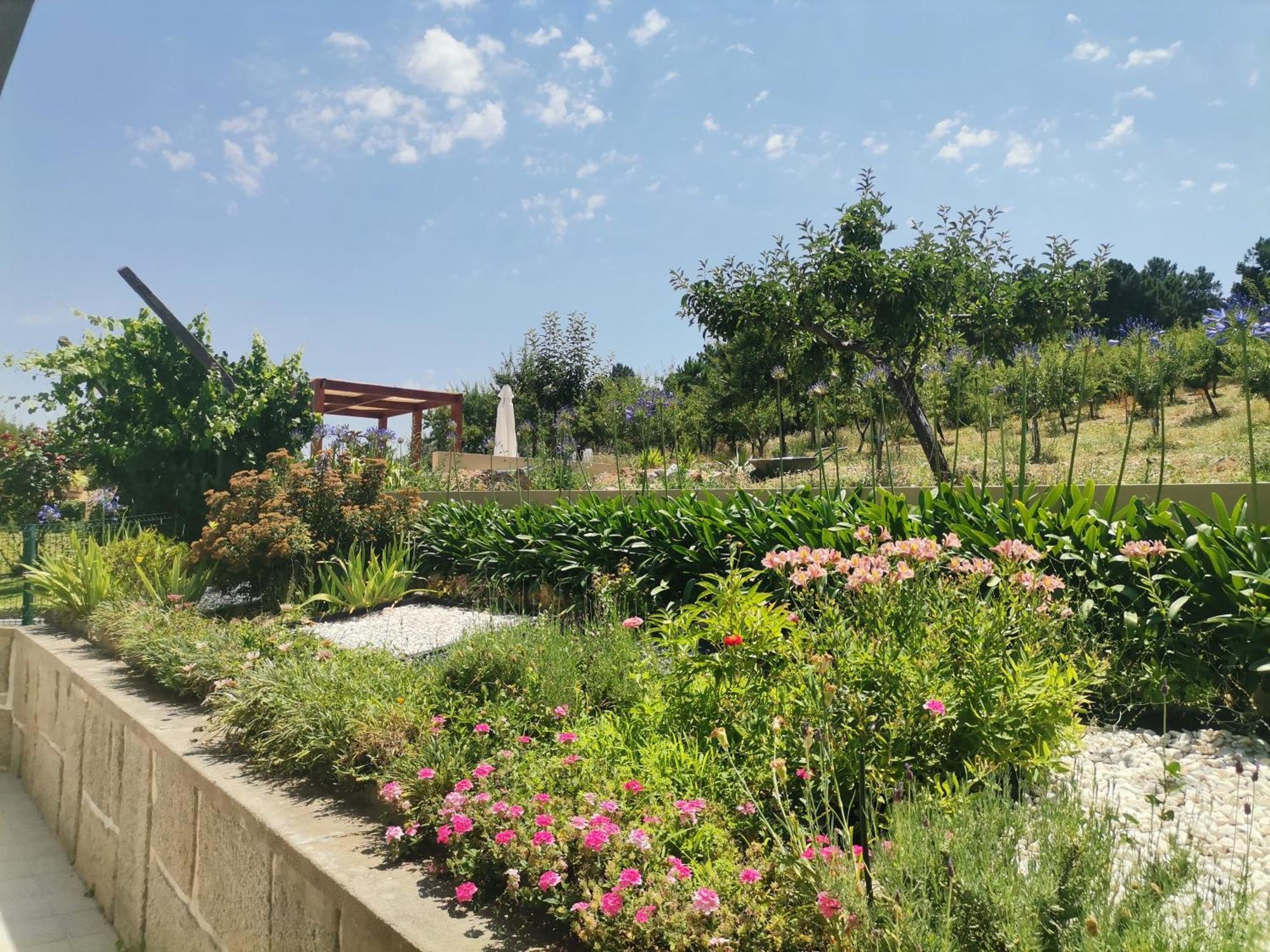Quinta Do Retiro Pension Felgar Buitenkant foto