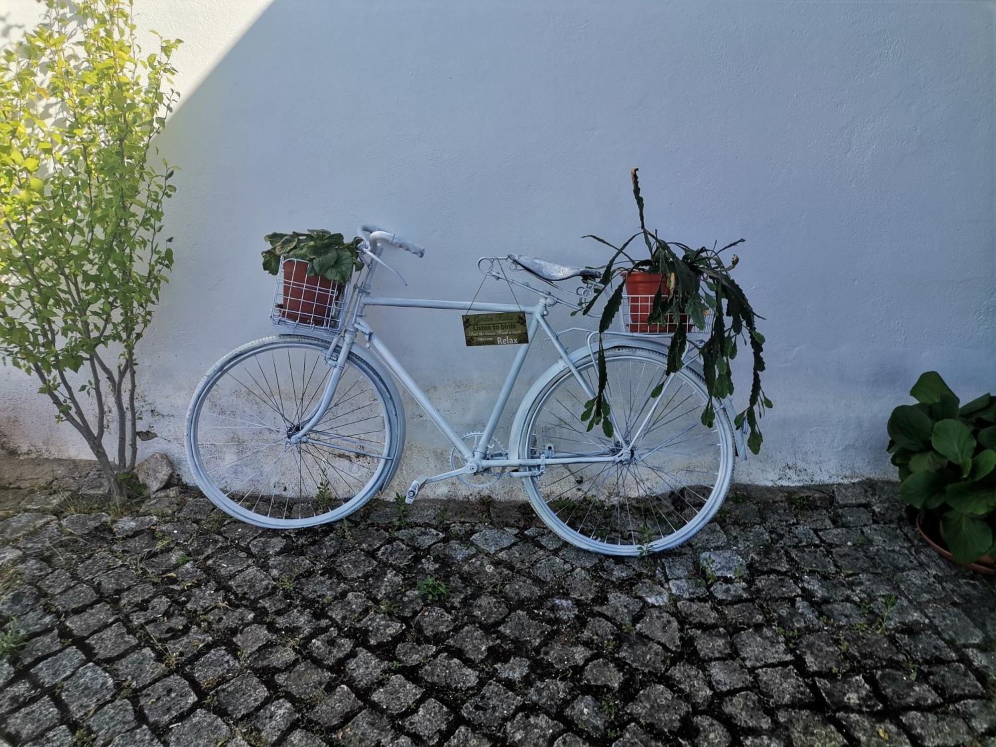 Quinta Do Retiro Pension Felgar Buitenkant foto